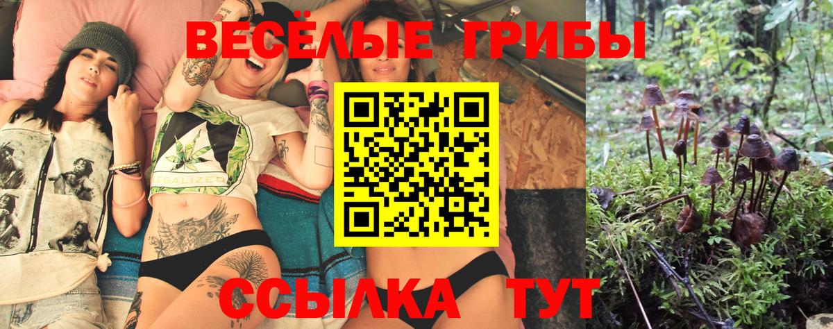 Невинномысск  Псилоцибиновые грибы Magic Shrooms  Вход с VPN 