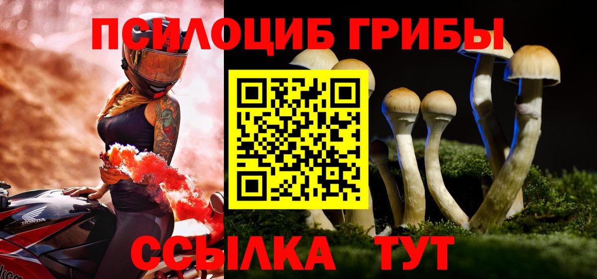 Галлюциногенные грибы Magic Shrooms Невинномысск